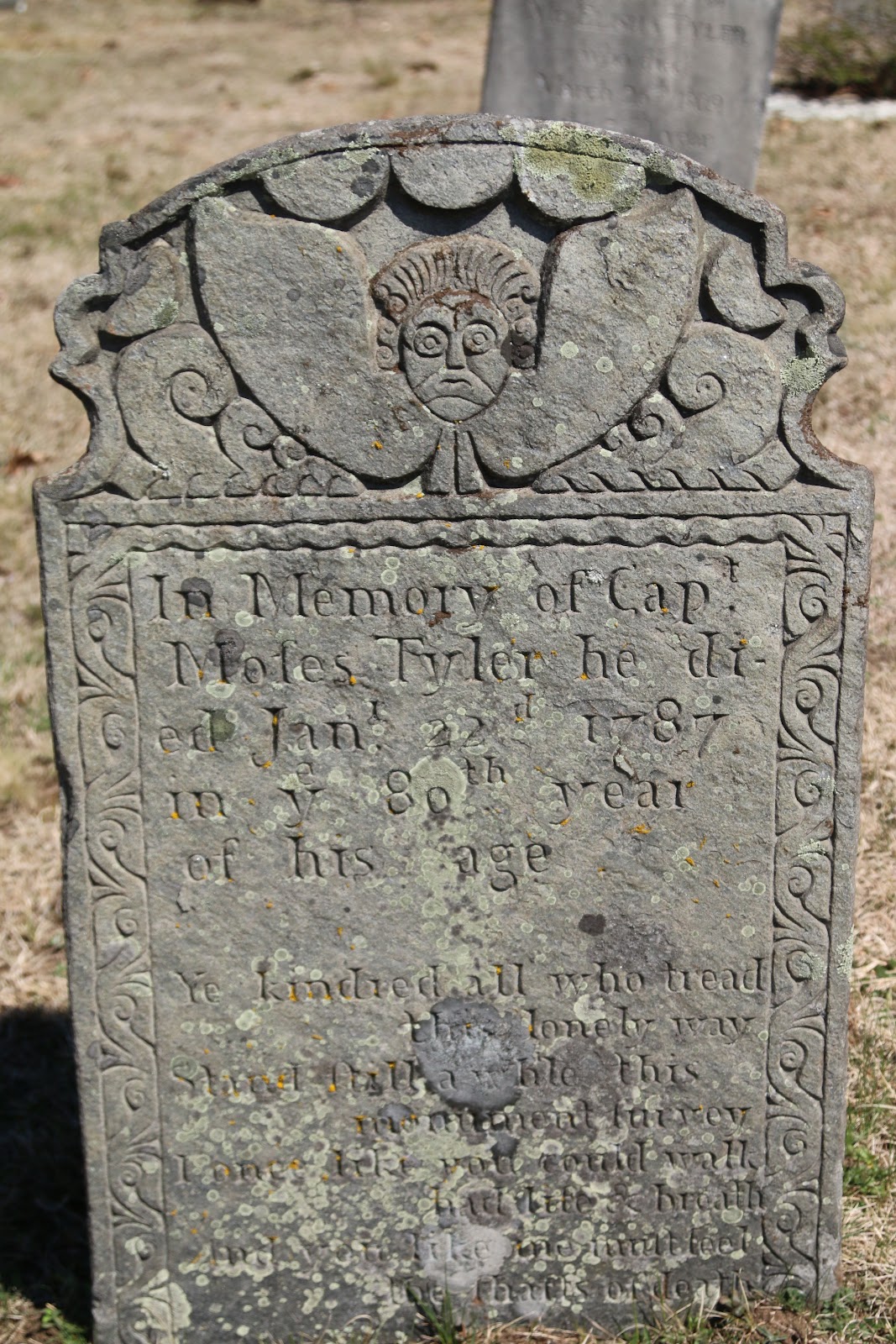 Pachaug Cemetery cemetery grounds and headstones