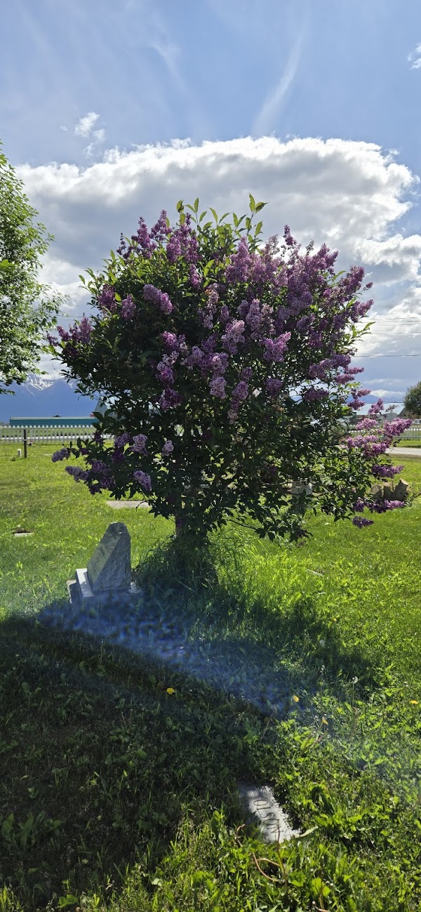 Palmer Pioneer Cemetery grounds