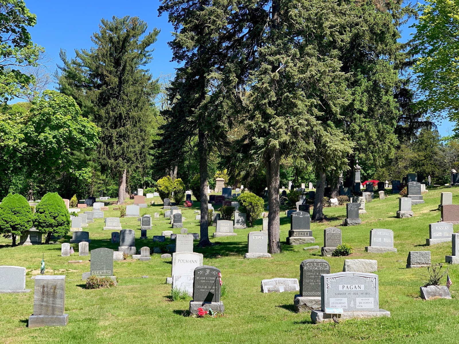 Park Cemetery Association