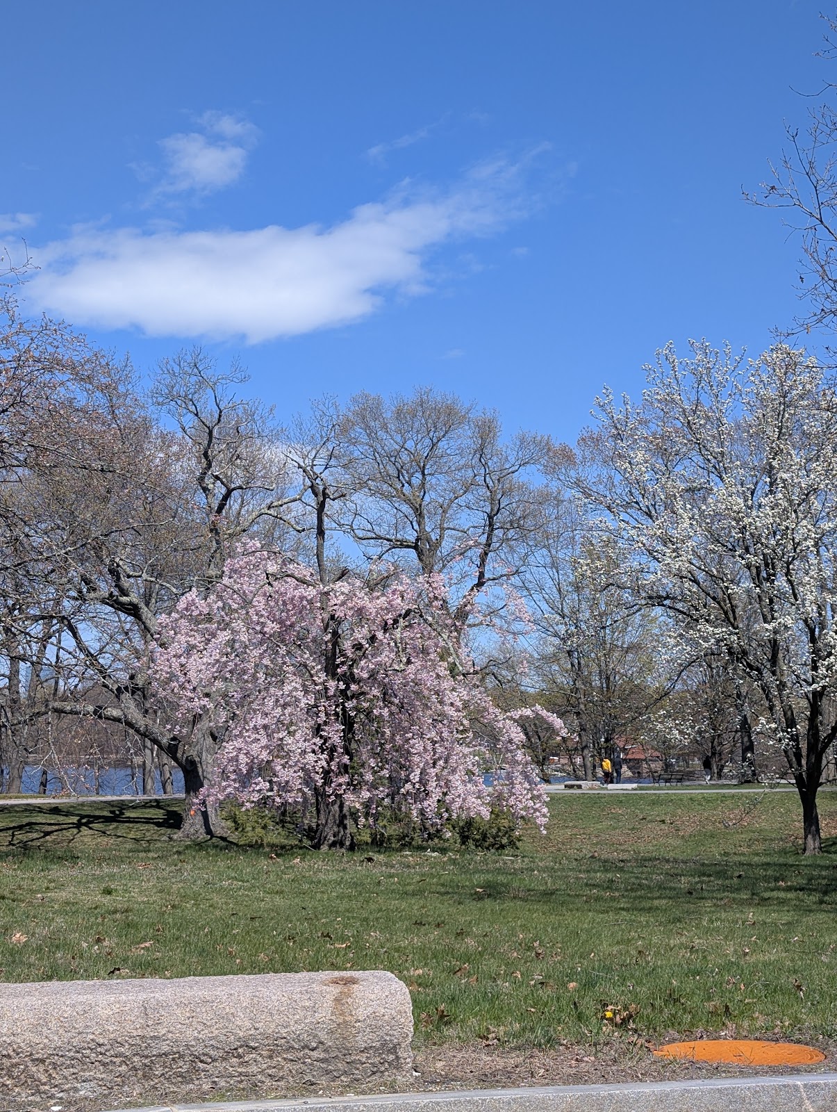 Parkman Memorial