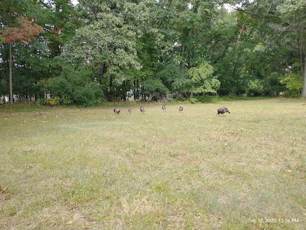 Parkview Memorial Cemetery grounds