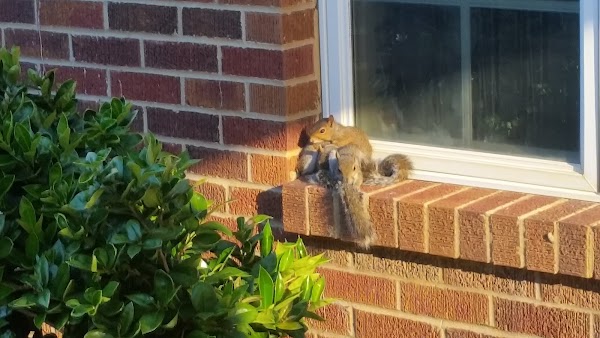 Parkway Funeral Home & Parkway Memorial Cemetery grounds