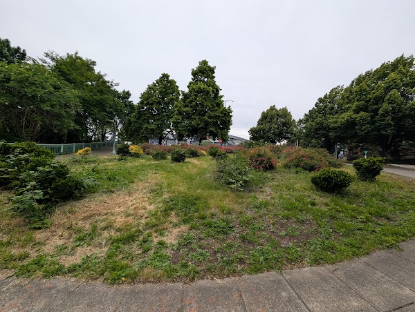 Peace Memorial Park grounds