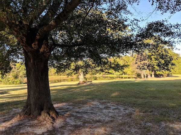 Phillips Memorial Park grounds