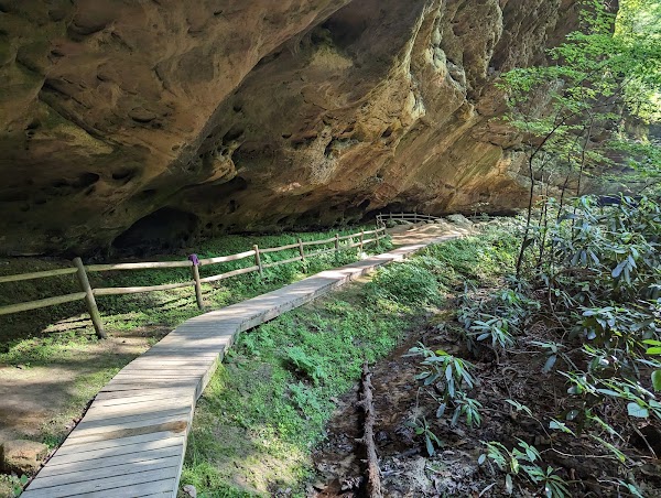 Pickett CCC Memorial State Park grounds