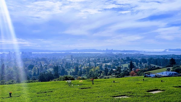 Piedmont Funeral Services and Mountain View Cemetery grounds