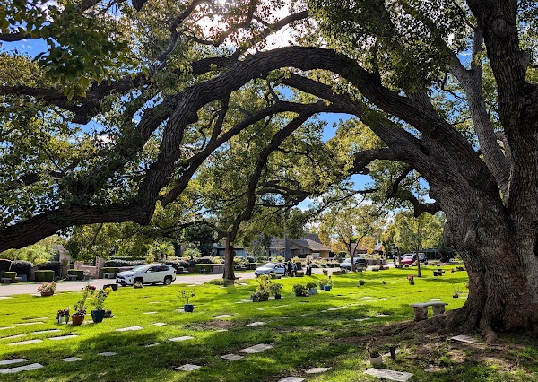 Pierce Brothers Westwood Village Memorial Park & Mortuary grounds