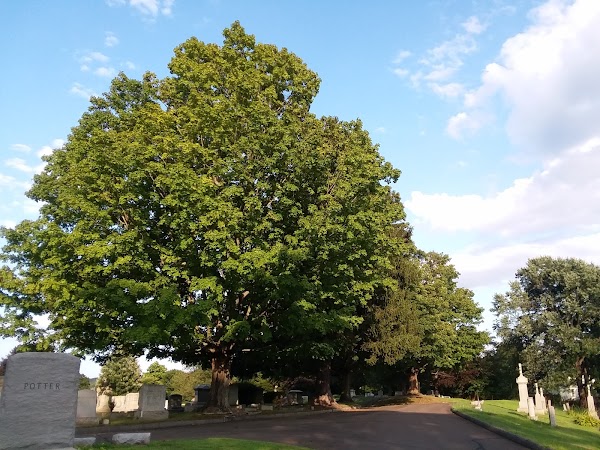 Pine Grove Cemetery grounds
