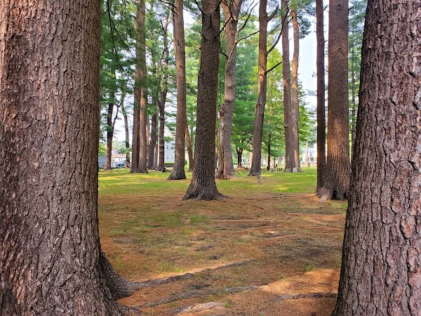 Pine Grove Cemetery grounds