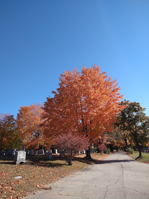 Pine Grove Cemetery grounds