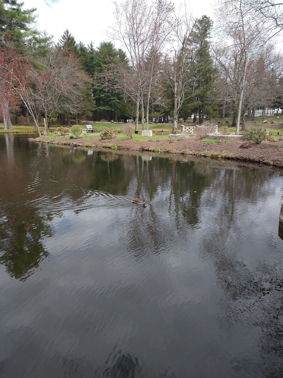 Pine Grove Cemetery cemetery grounds and headstones