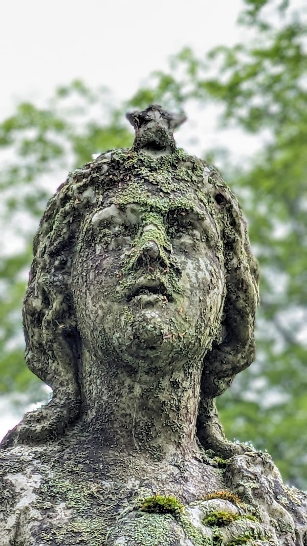 Pine Grove Cemetery grounds