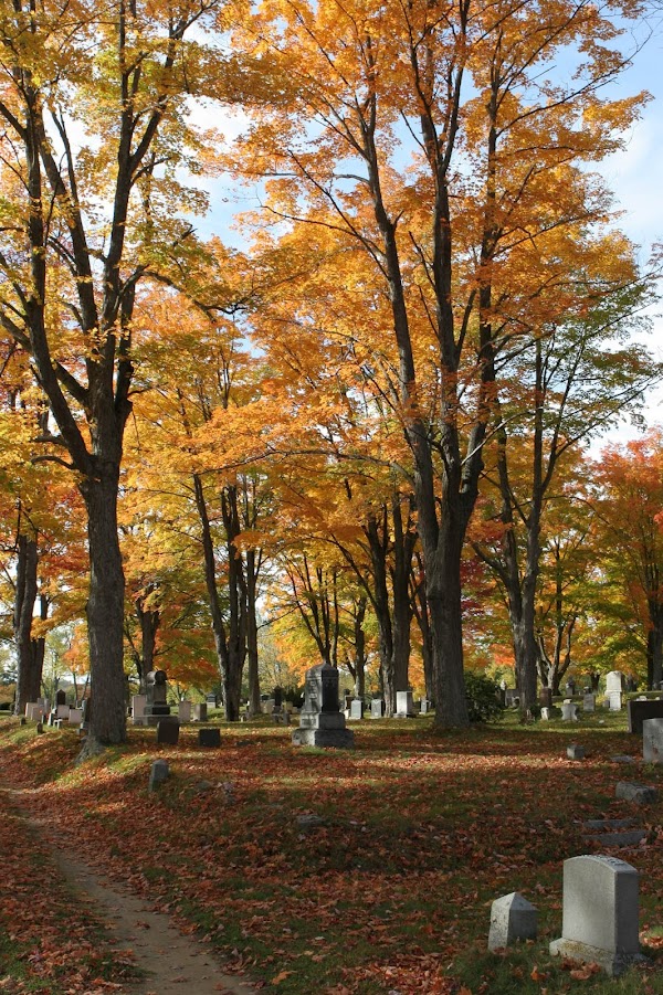 Pine Grove Cemetery grounds