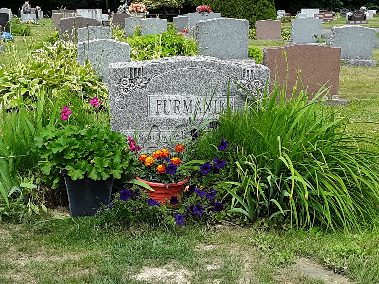 Pine Grove Cemetery