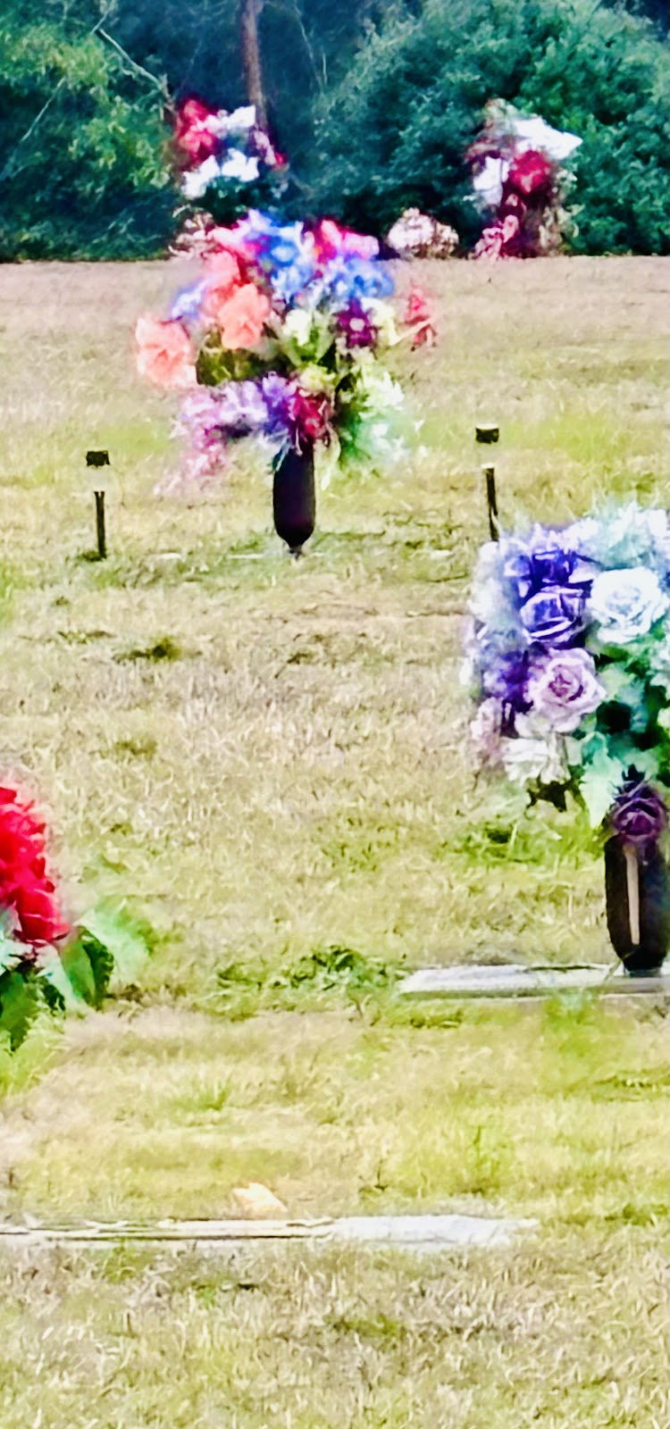 Pine Hill Memorial Park cemetery grounds and headstones
