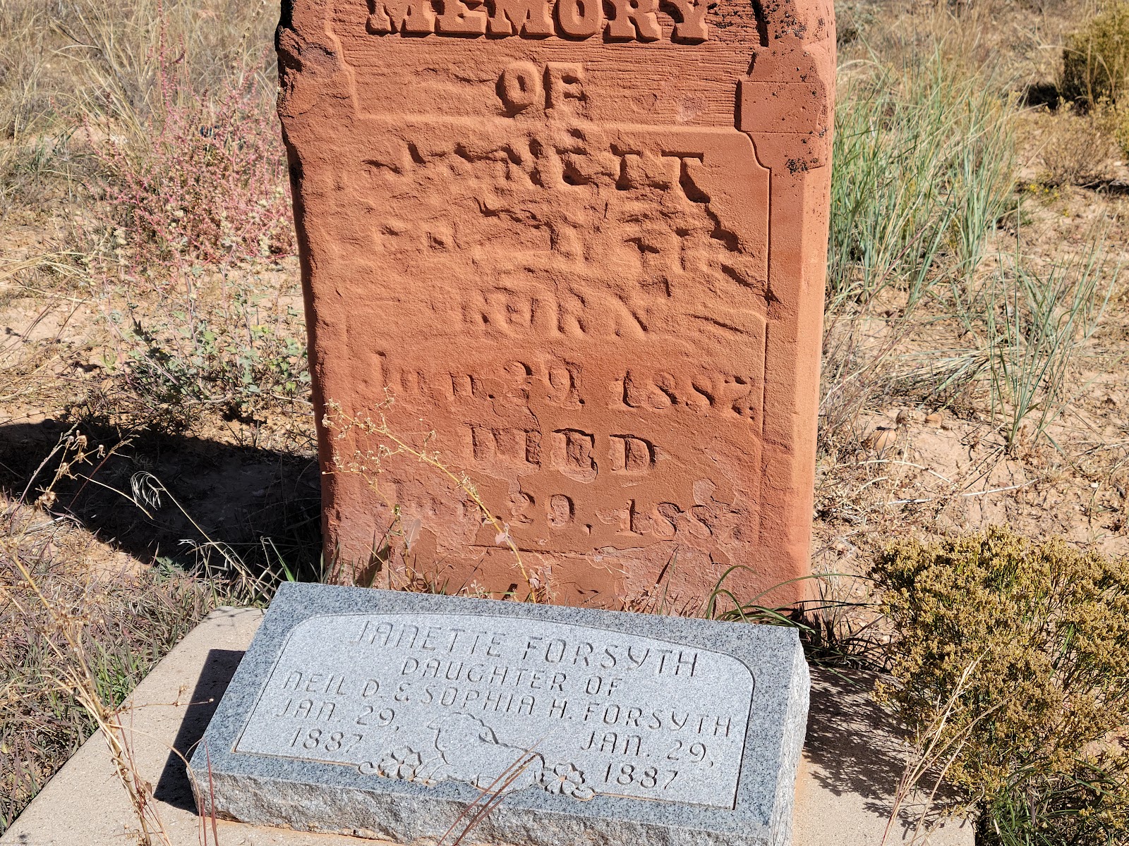 Pinto Cemetery headstone and grounds
