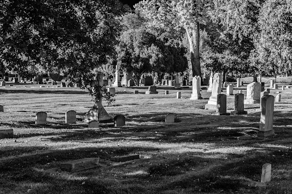 Pioneer Cemetery grounds