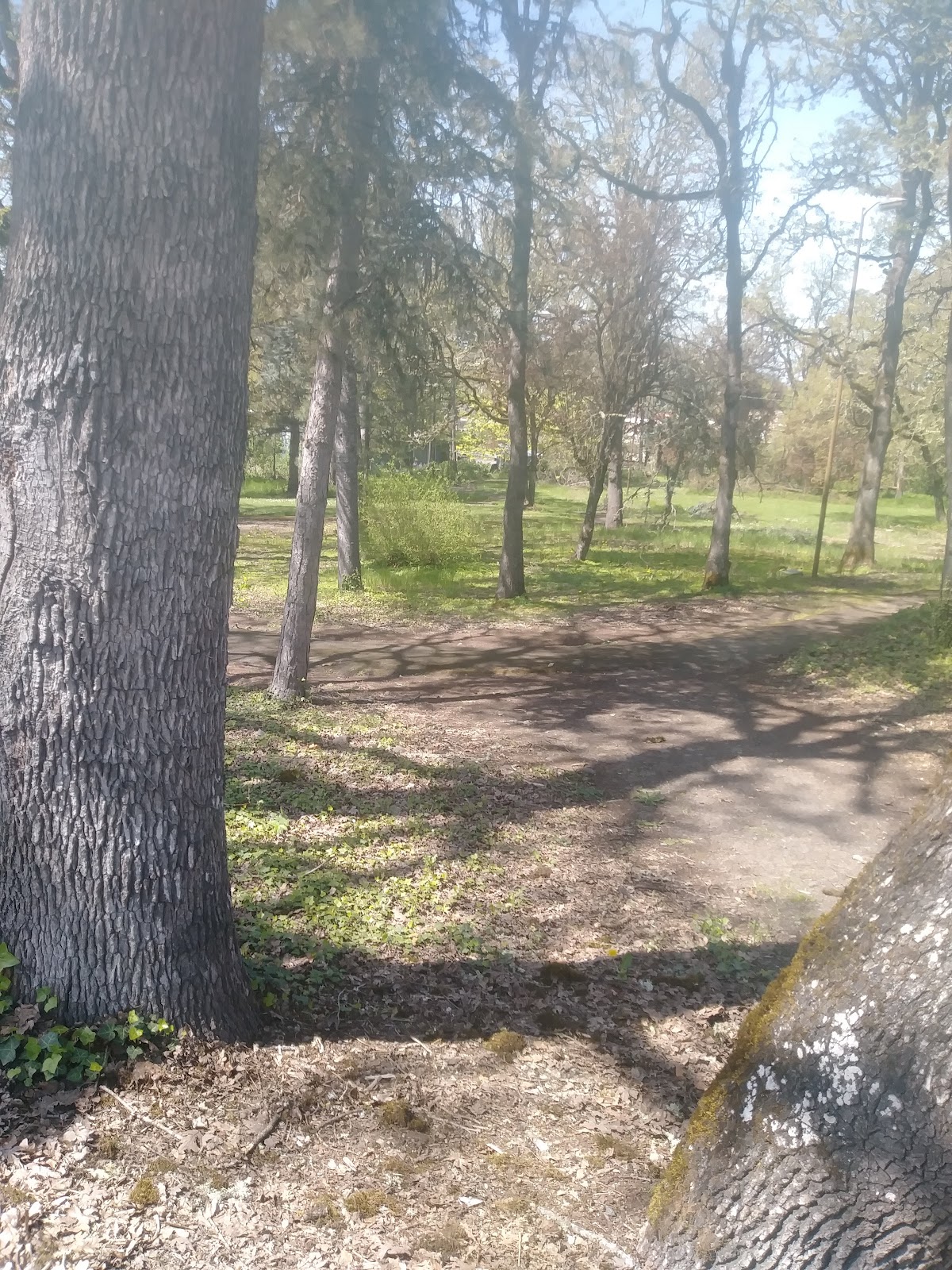 Pioneer Memorial Cemetery Park cemetery grounds and headstones