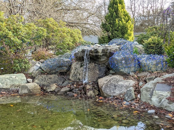 Pioneer Memorial Park grounds