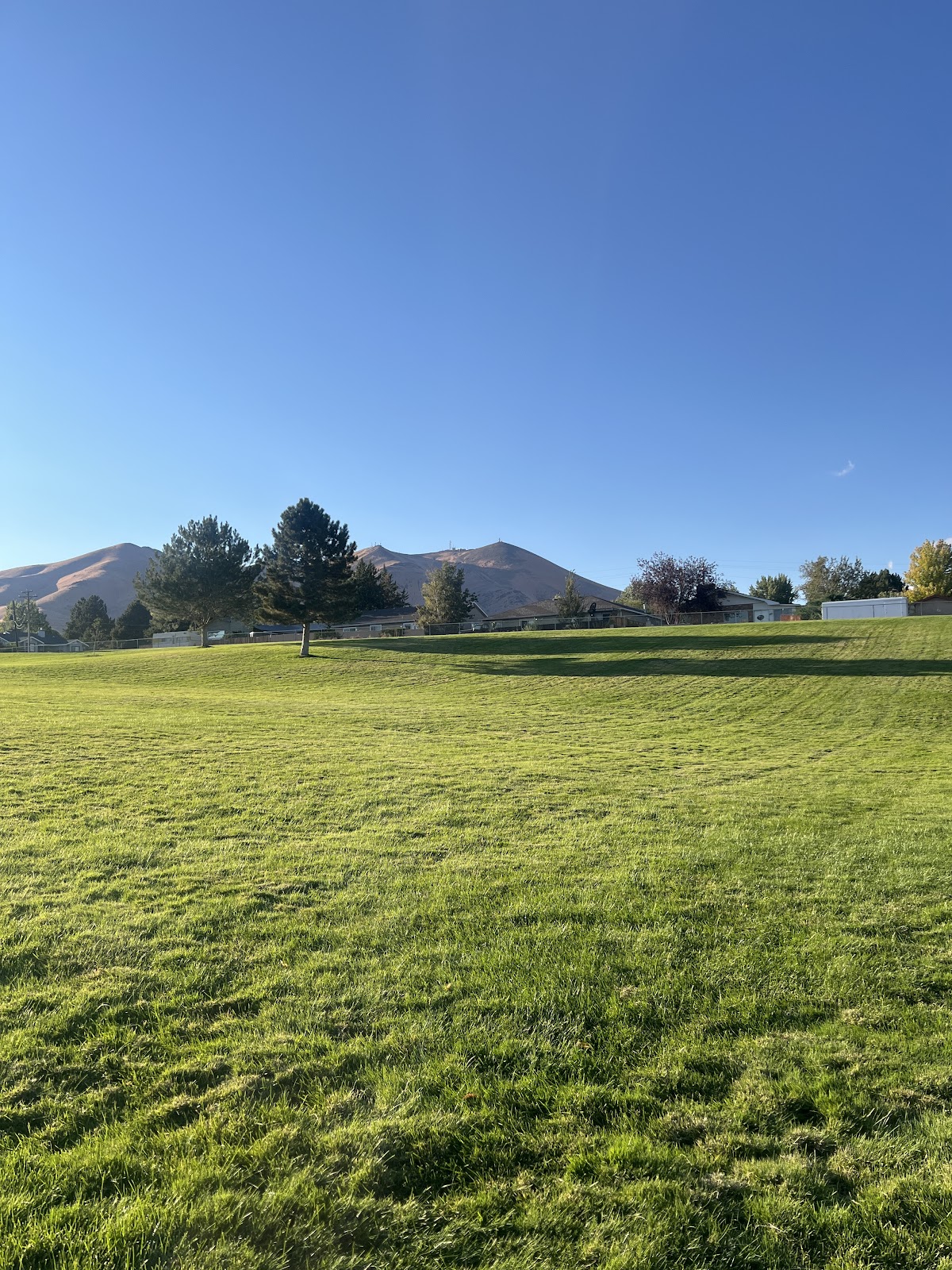 Pioneer Memorial Park cemetery grounds and headstones