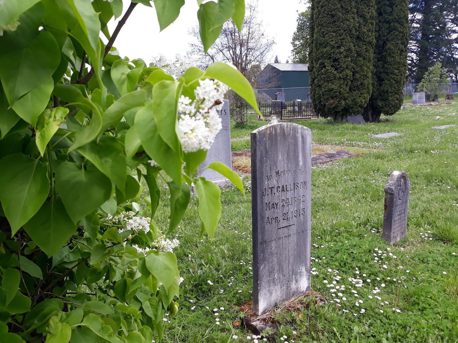 Pleasant Hill Cemetery cemetery grounds and headstones