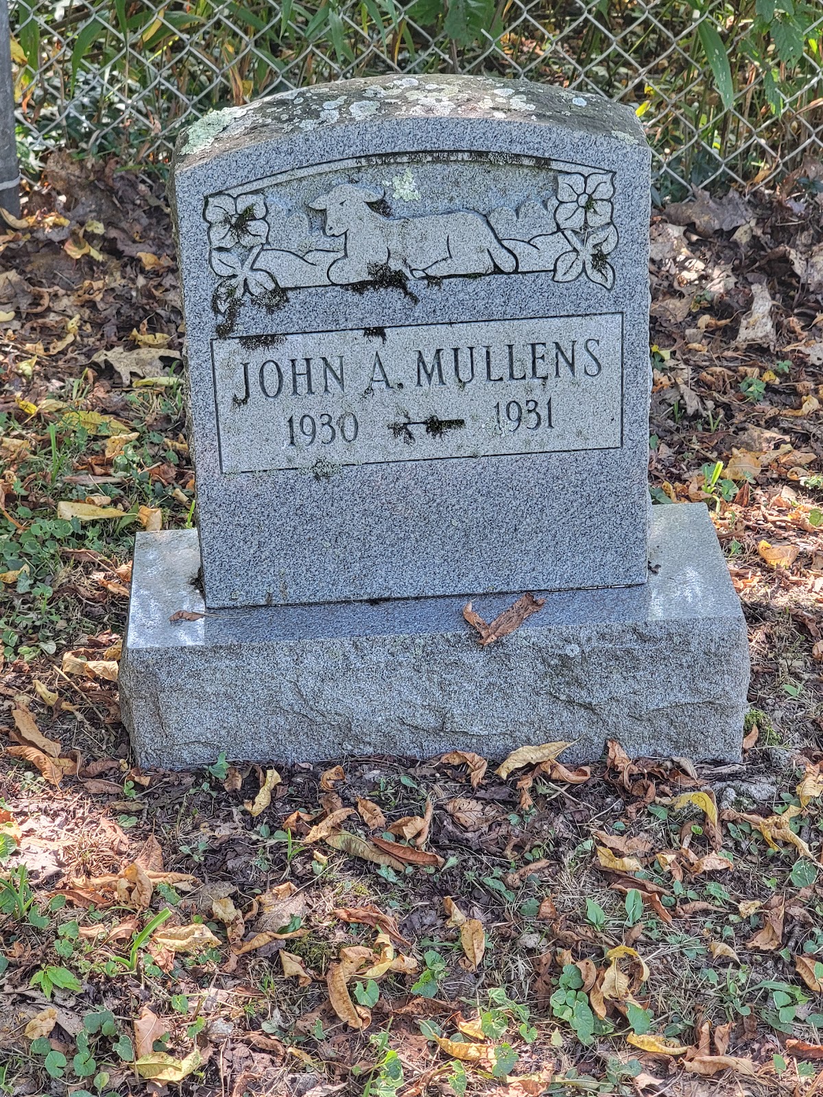Powers Family Cemetery cemetery grounds and headstones