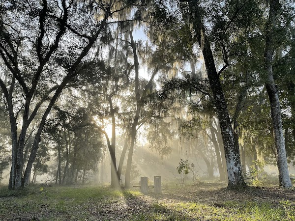 Prairie Creek Conservation Cemetery grounds