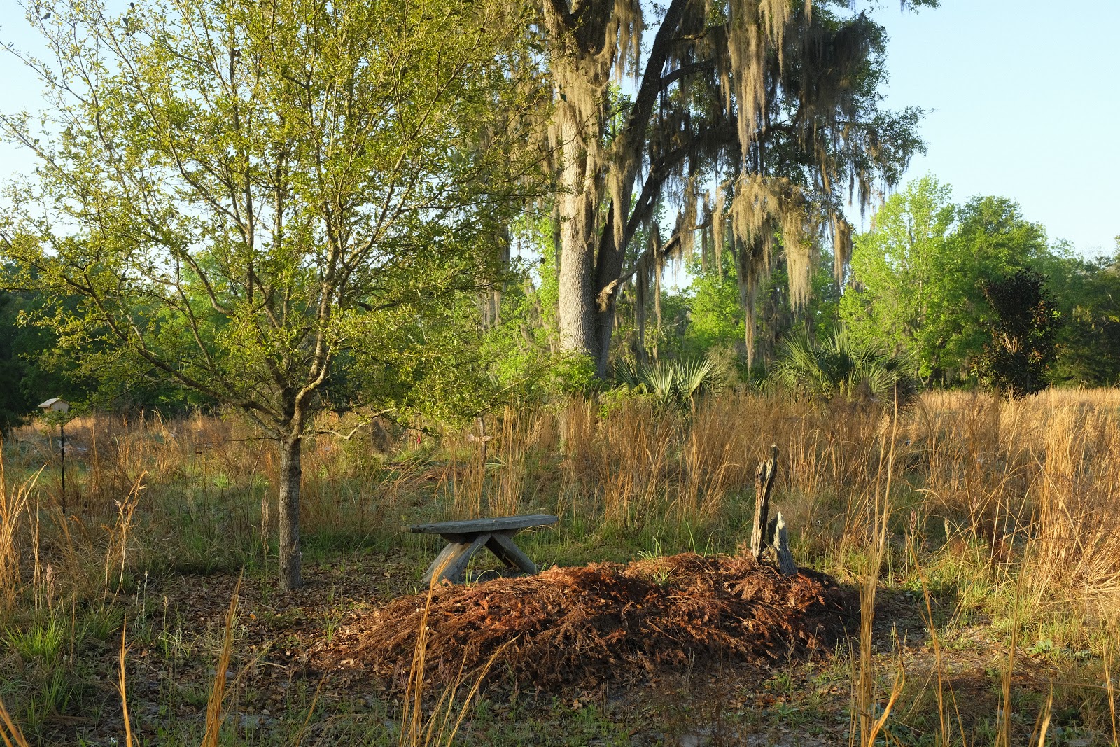 Prairie Creek Conservation Cemetery cemetery grounds and headstones