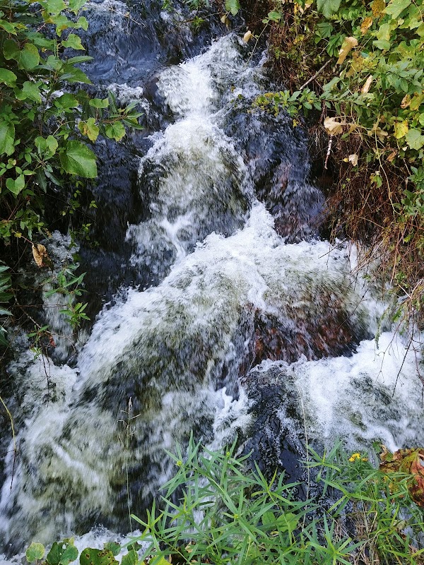 Quaker Cemetery grounds
