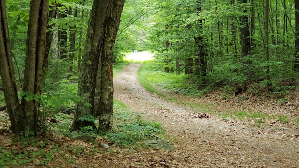 Quaker Cemetery grounds