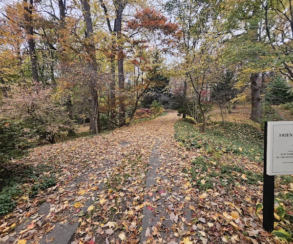 Quaker Cemetery grounds