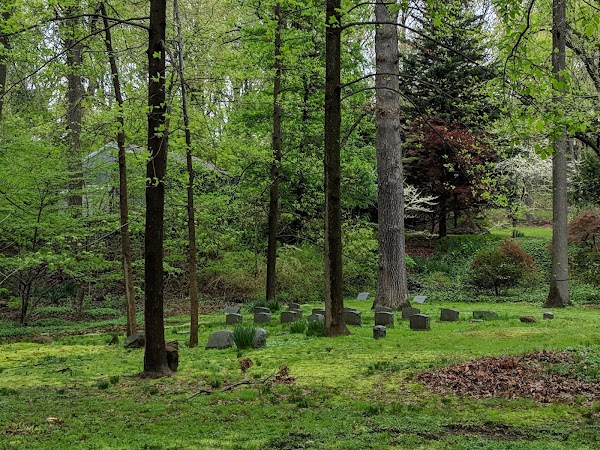 Quaker Cemetery grounds