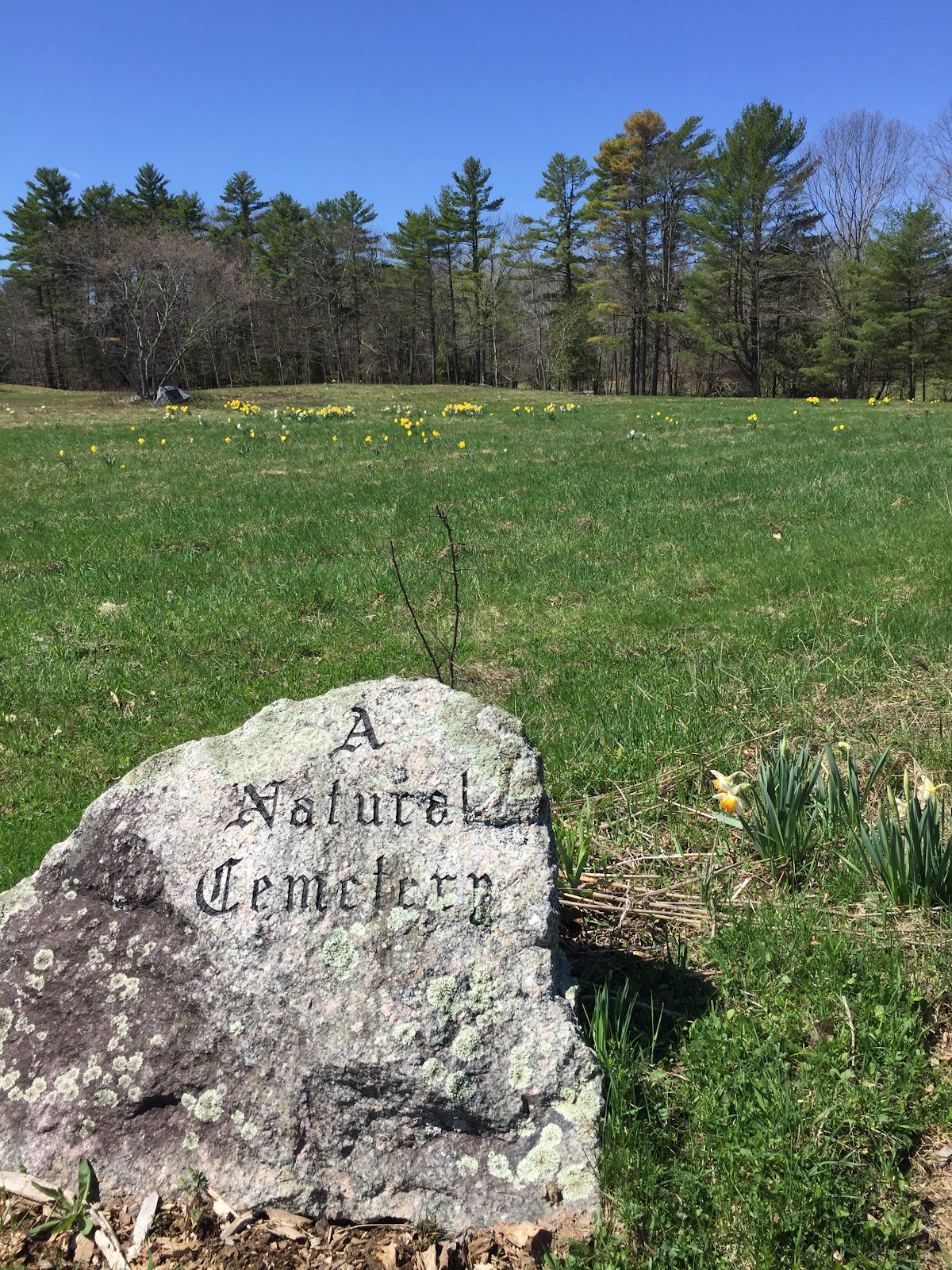 Rainbows End Natural Cemetery cemetery grounds and headstones