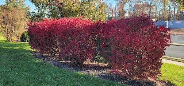 Ray Muth Sr. Memorial Park grounds