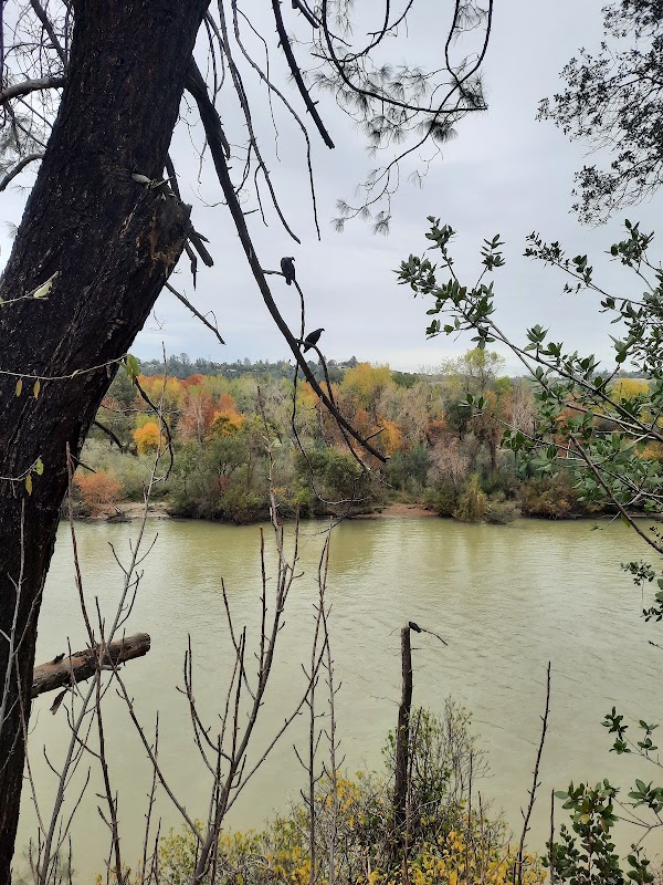 Redding Memorial Park grounds