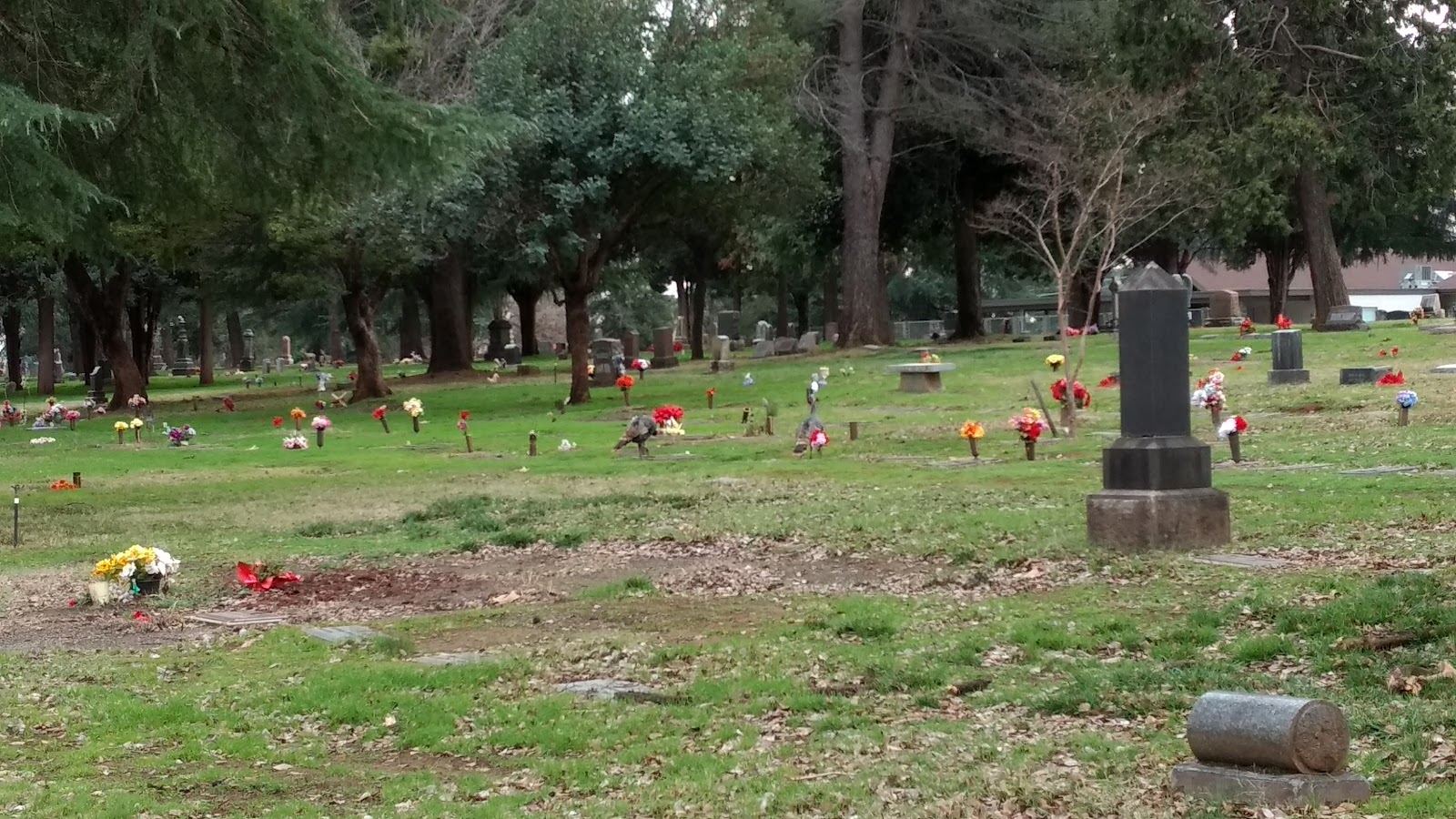 Redding Memorial Park cemetery grounds and headstones