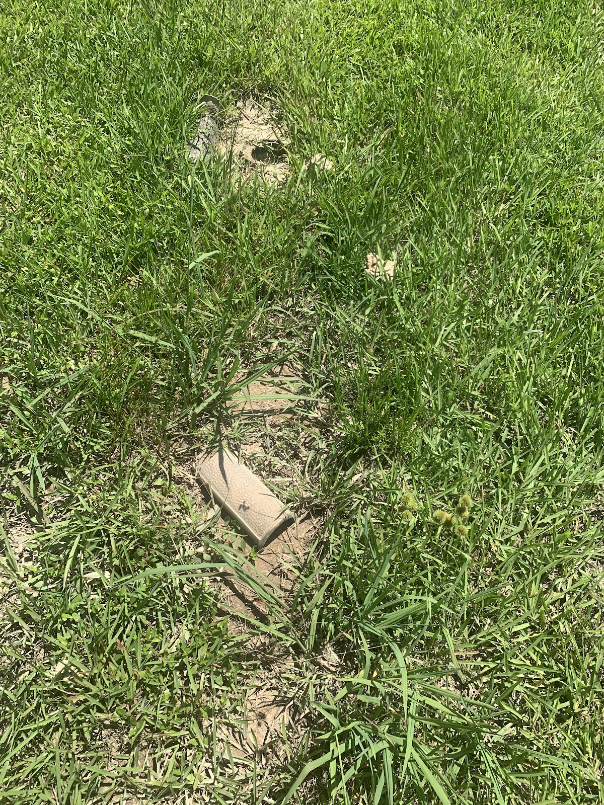 Rest in Peace Memorial Gardens
