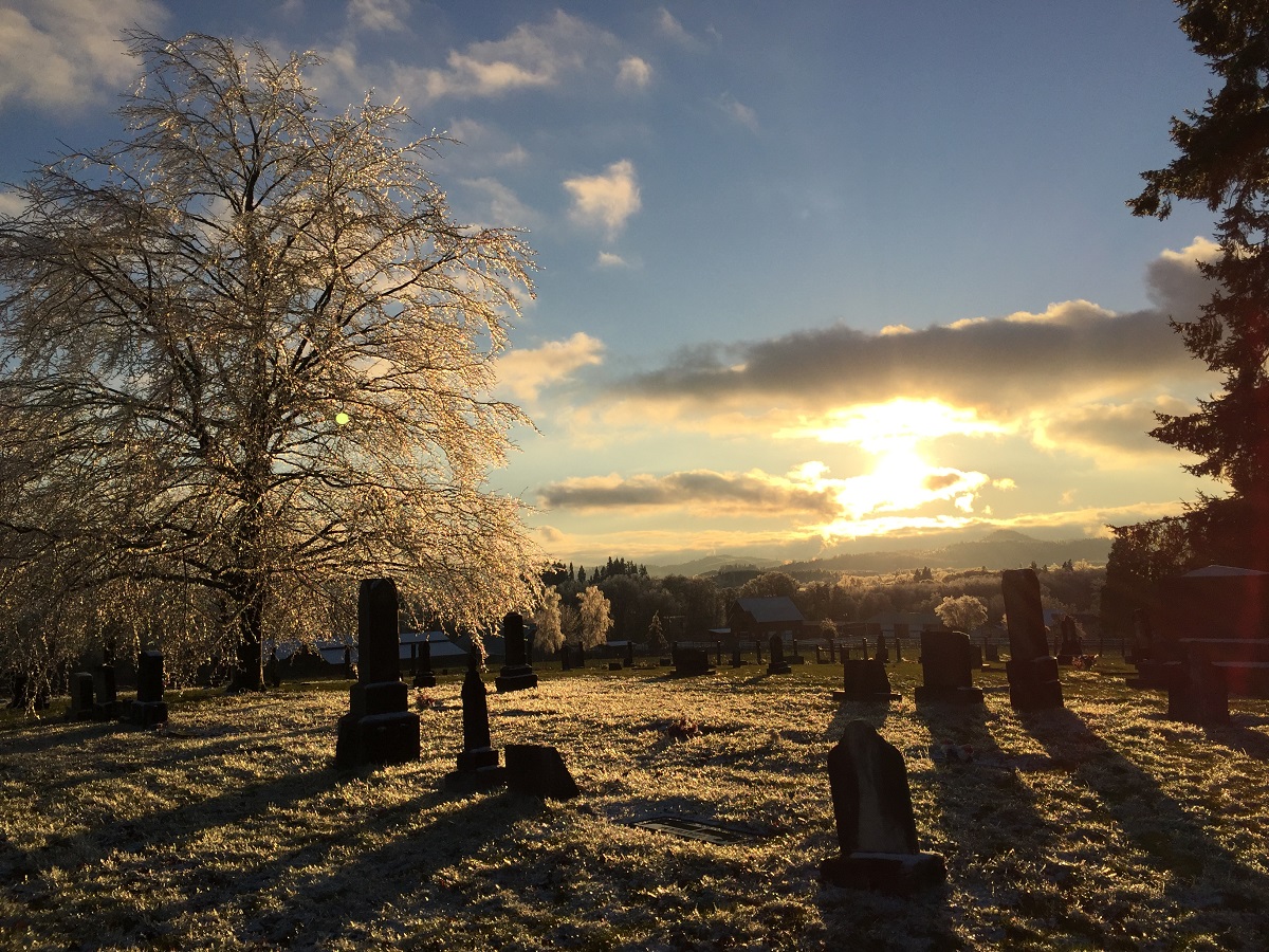 Rest Lawn Memorial Park cemetery grounds and headstones