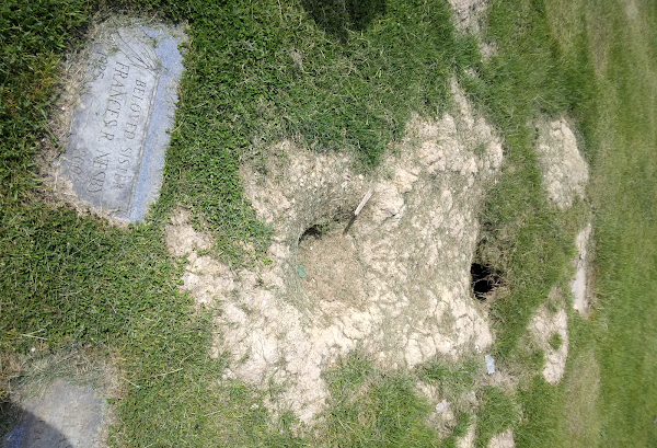 Restvale Cemetery Inc grounds