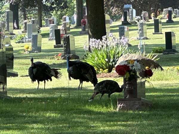 Resurrection Catholic Cemetery grounds
