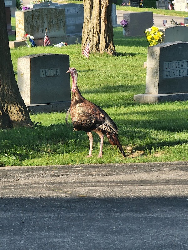 Resurrection Cemetery grounds
