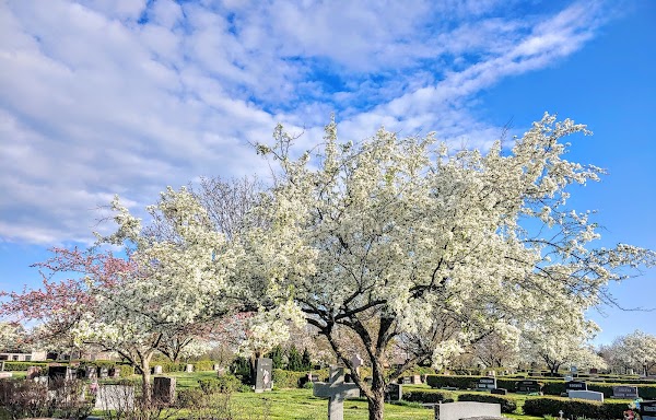 Resurrection Cemetery grounds