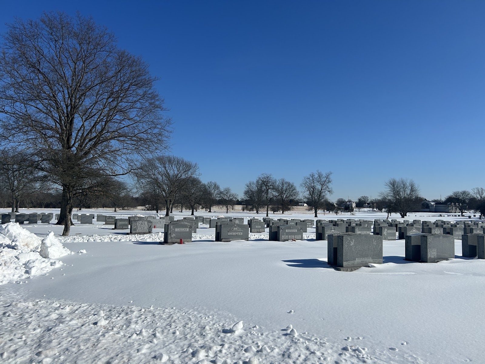 Resurrection Cemetery cemetery grounds and headstones