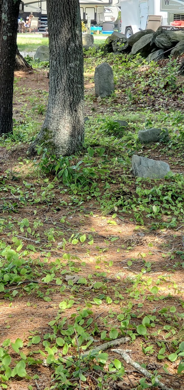 Rhode Island historical Cemetery Hopkinton grounds