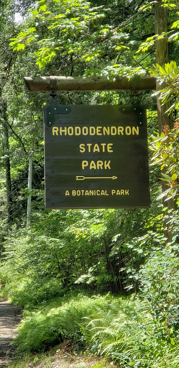 Rhododendron State Park grounds