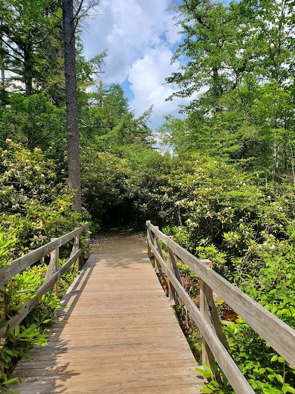 Rhododendron State Park grounds