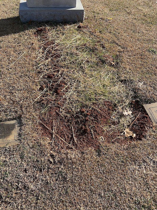 Ridout's Forest Crest Cemetery grounds