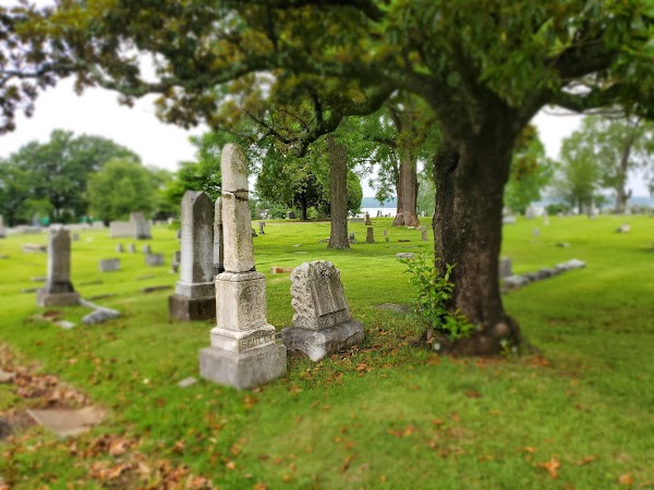 Ridout's Forest Hill Cemetery grounds