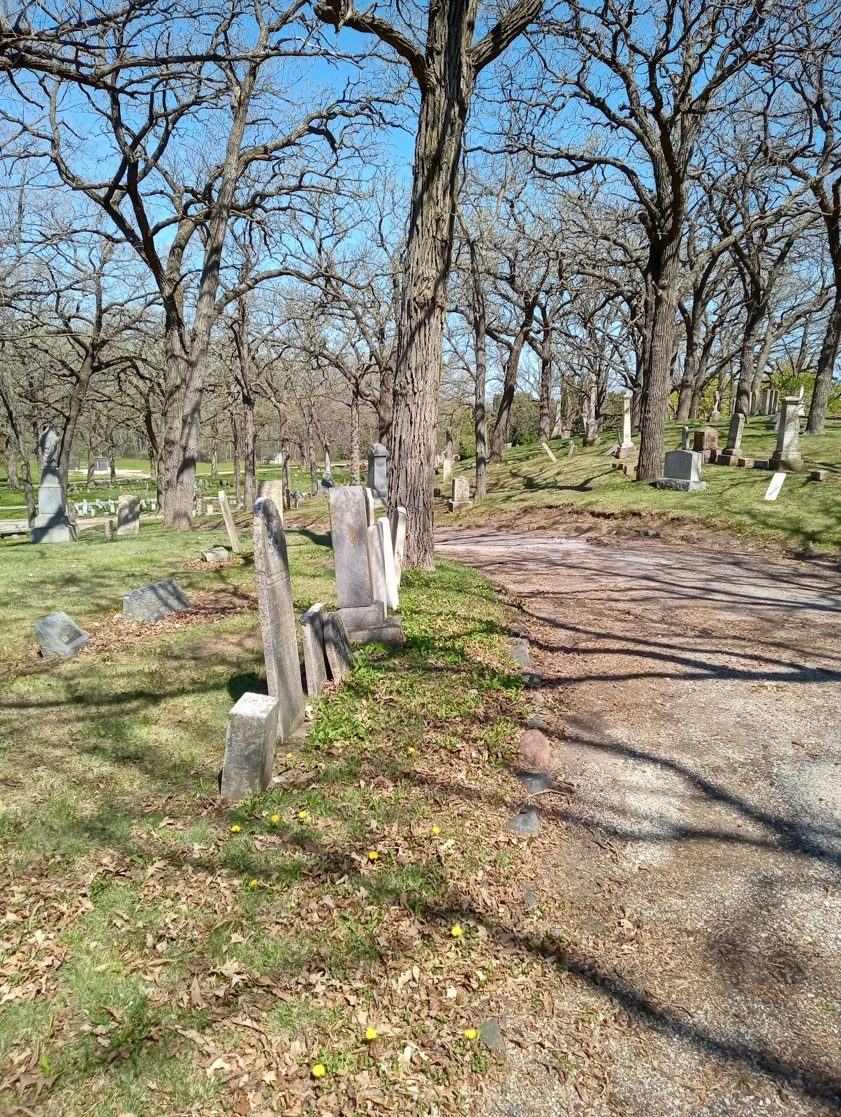 Rienzi Cemetery