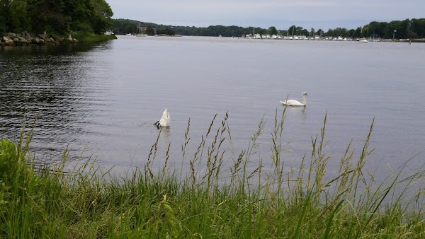 River Bend Cemetery grounds